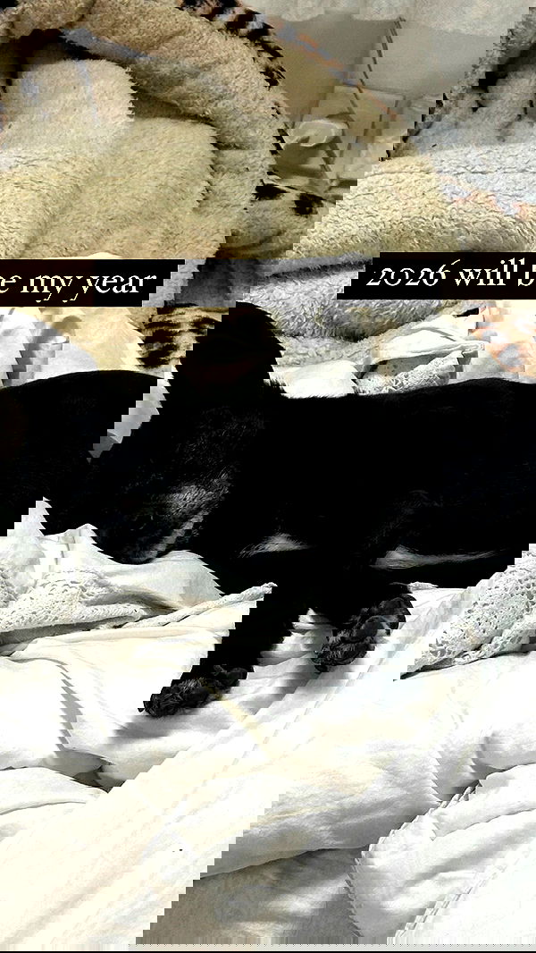 moonliliaght moonliliaght archive image