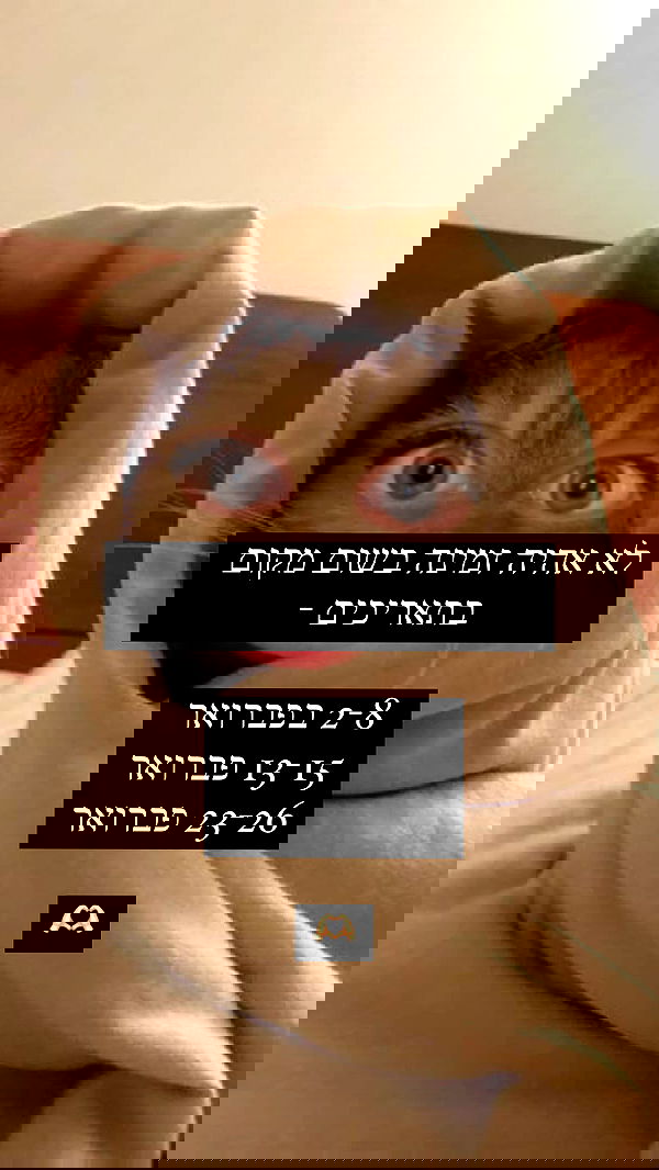 moonliliaght moonliliaght archive image