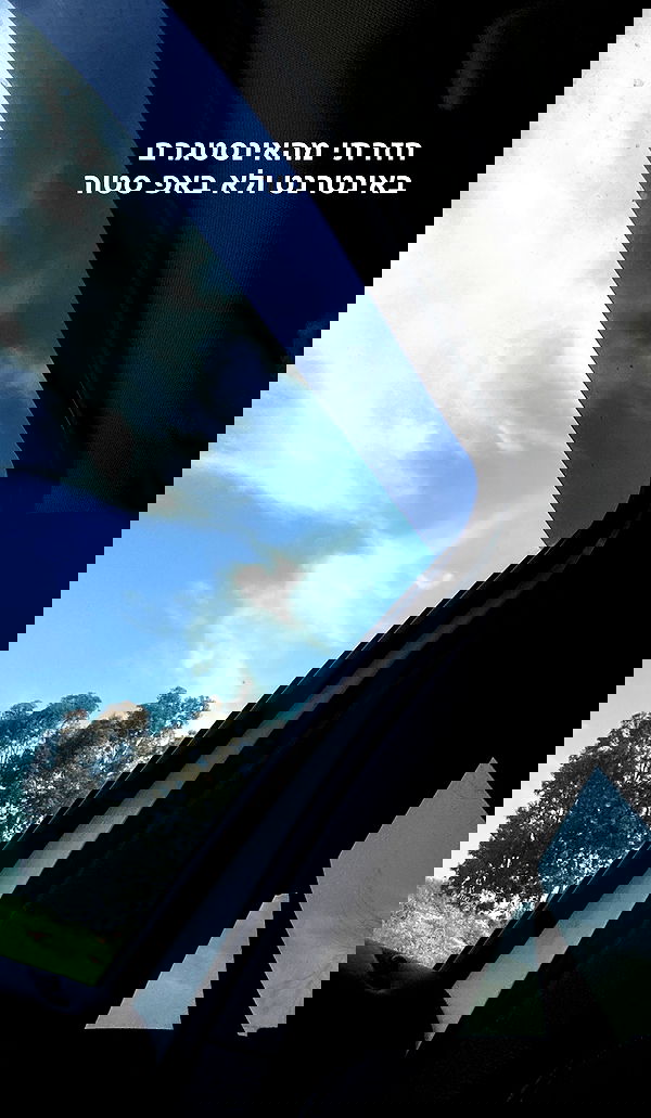 moonliliaght moonliliaght archive image