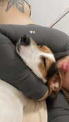 msss______britnnny Altpins Profile Picture