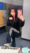 mtndwr Altpins Profile Picture