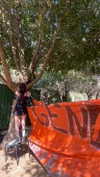 naama_gabbay Altpins Profile Picture
