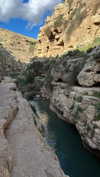 naama_gabbay Altpins Profile Picture
