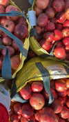 naama_gabbay Altpins Profile Picture