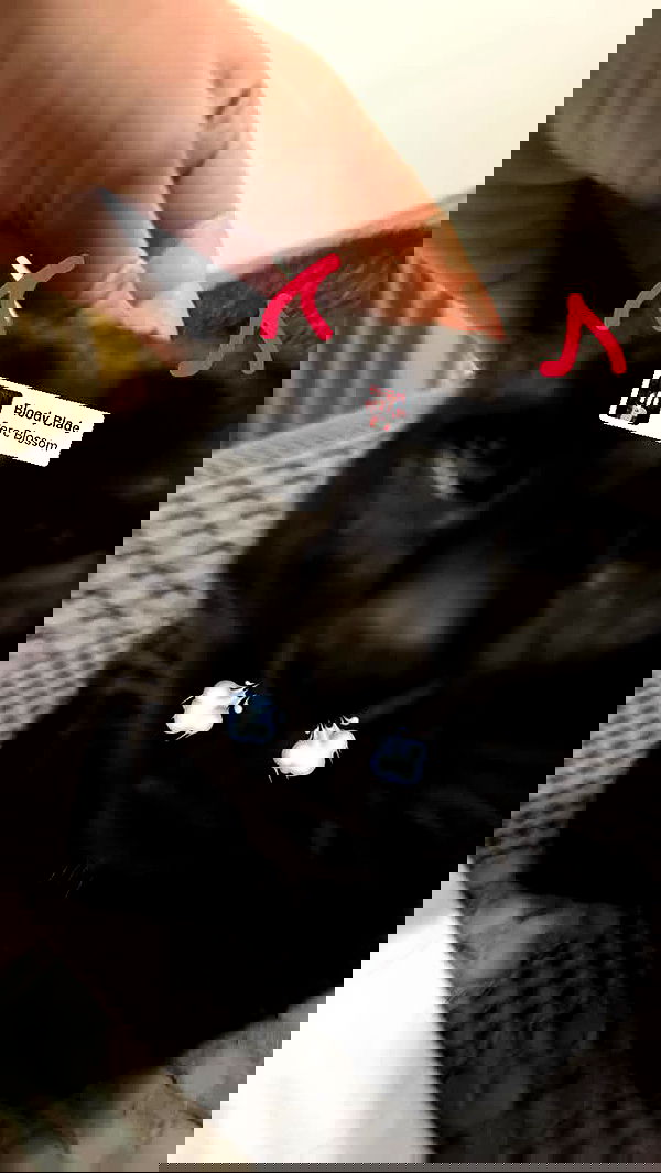 natahalieeee natahalieeee archive image