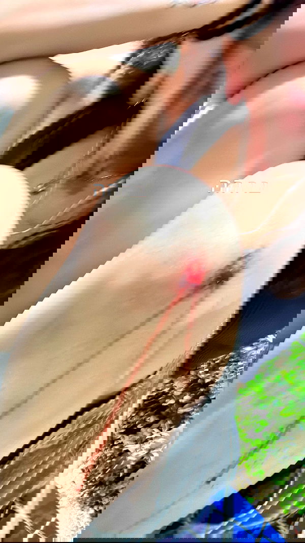 natahalieeee natahalieeee archive image