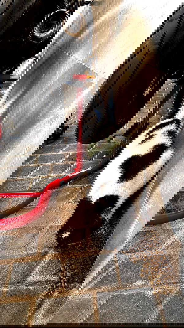 natahalieeee natahalieeee archive image