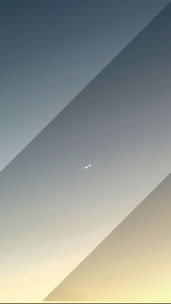 natahalieeee natahalieeee archive image