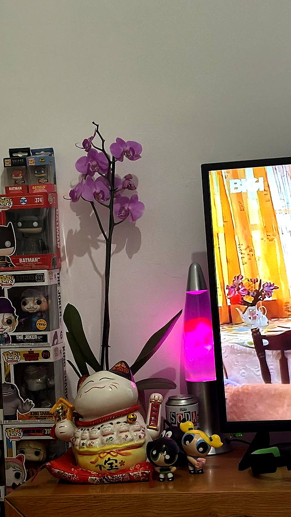 natahalieeee instagram image archive image