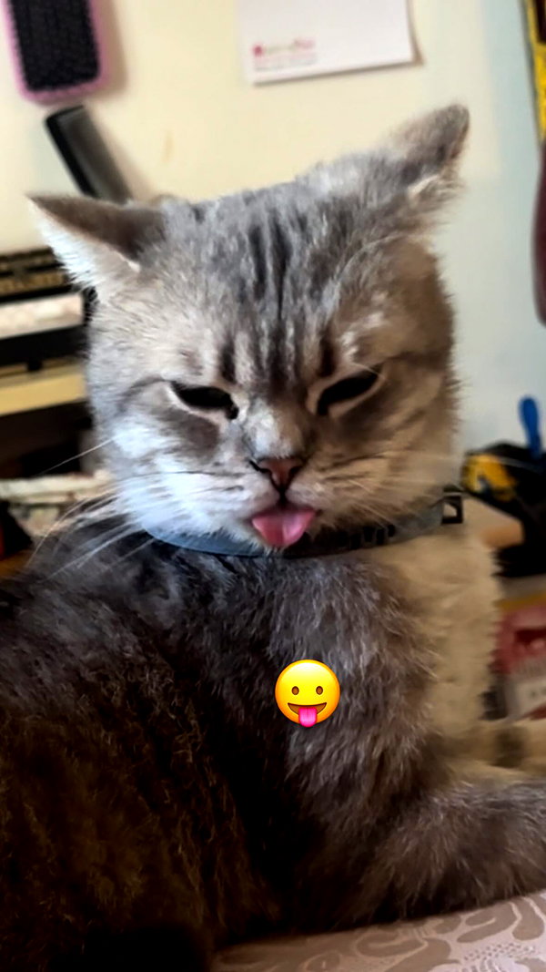 natahalieeee instagram image archive image