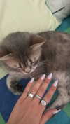 natahalieeee Altpins Profile Picture