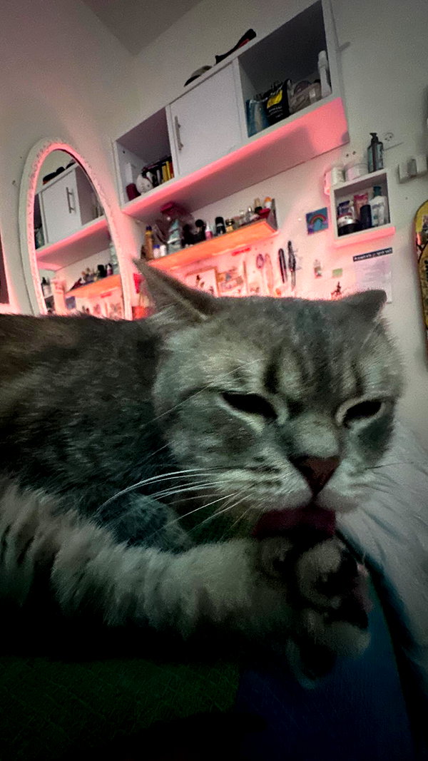 natahalieeee instagram image archive image