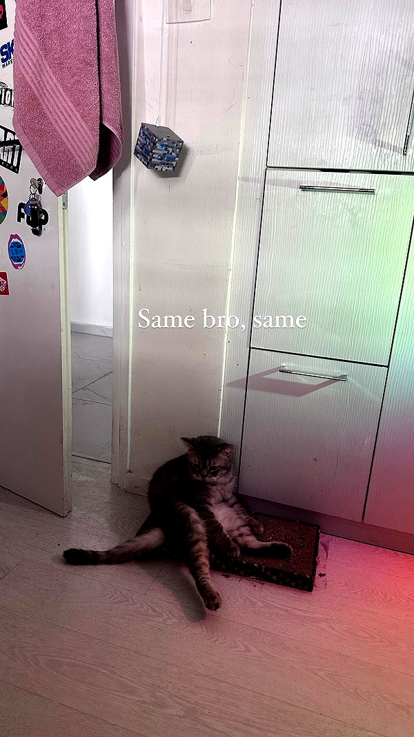 natahalieeee instagram image archive image