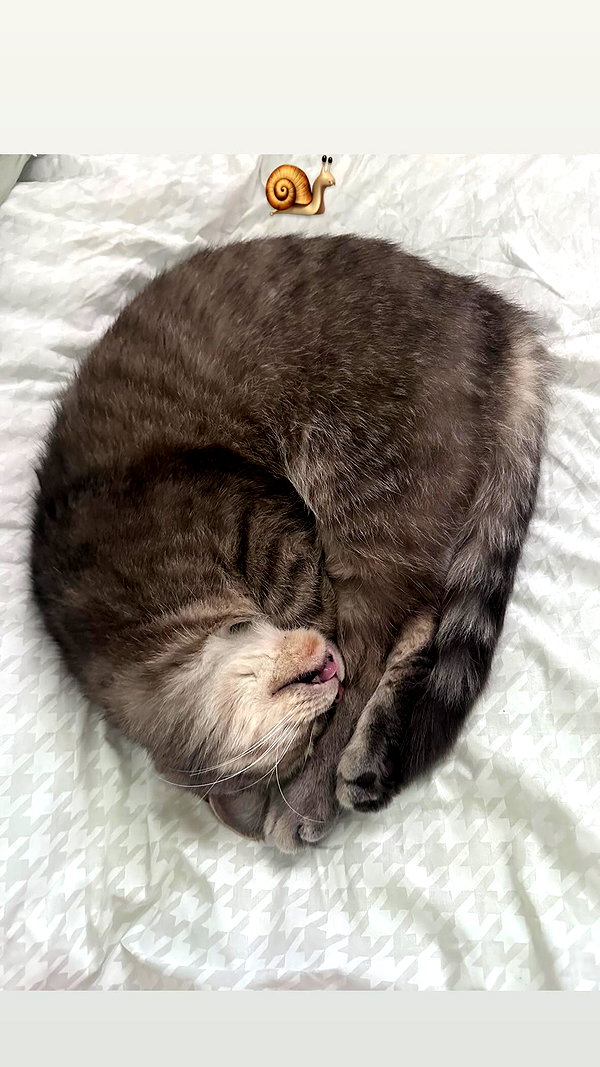 natahalieeee instagram image archive image