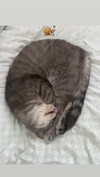 natahalieeee Altpins Profile Picture
