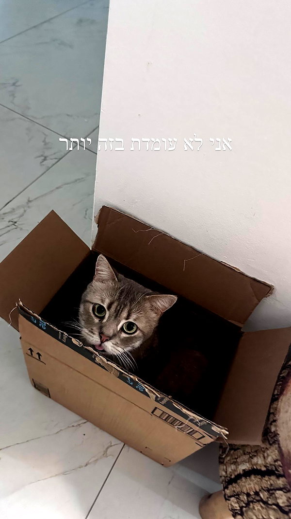 natahalieeee instagram image archive image