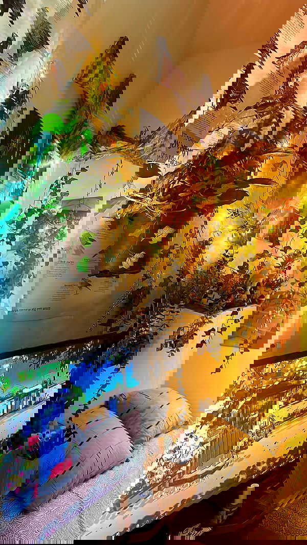 natahalieeee natahalieeee archive image