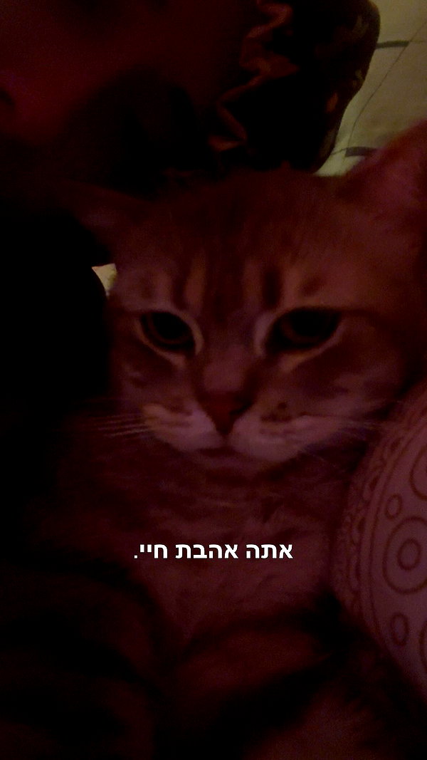 natahalieeee instagram image archive image