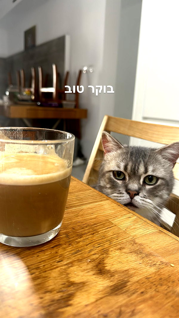 natahalieeee instagram image archive image