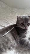 natahalieeee Altpins Profile Picture