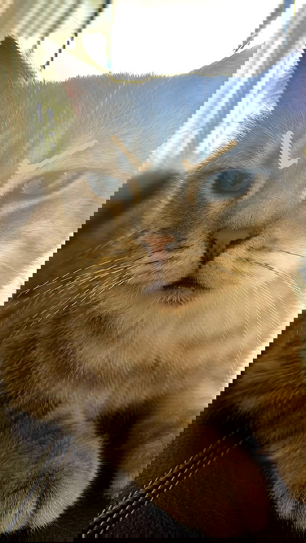 natahalieeee natahalieeee archive image