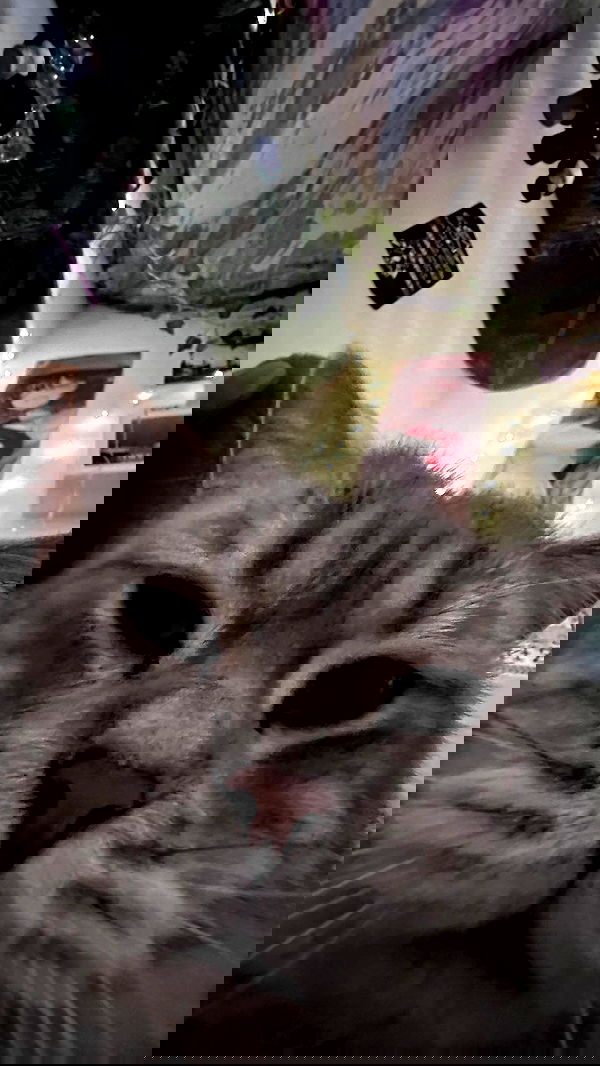 natahalieeee natahalieeee archive image