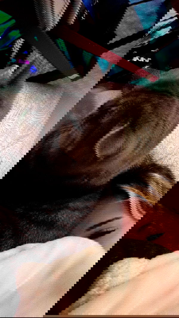 natahalieeee natahalieeee archive image