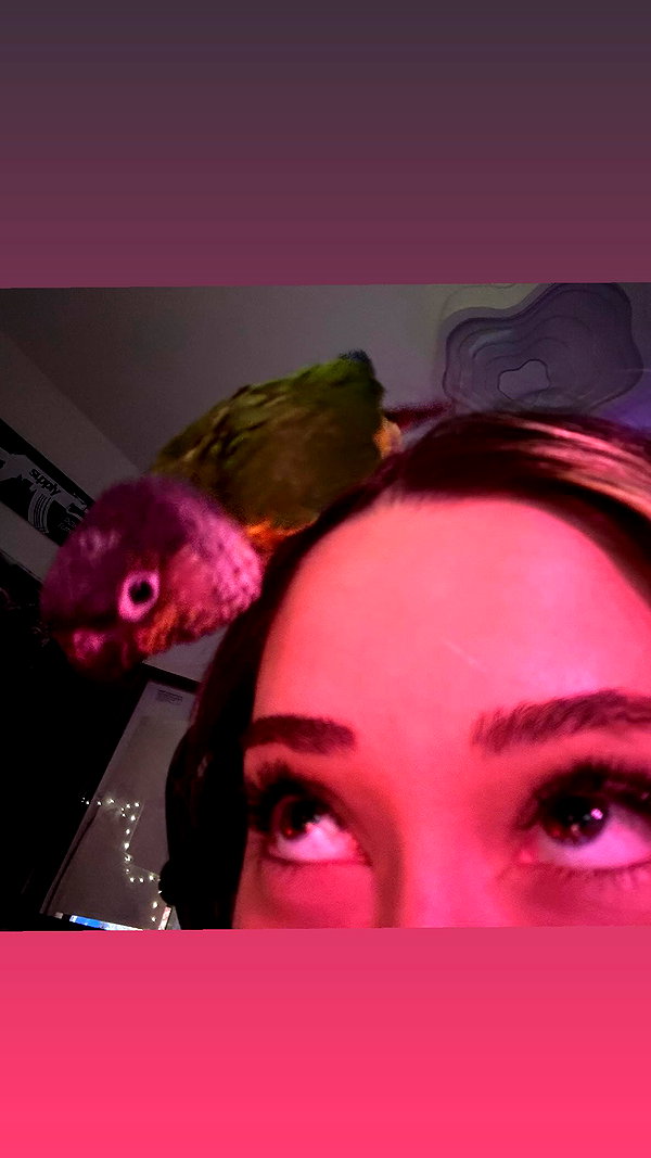 natahalieeee instagram image archive image