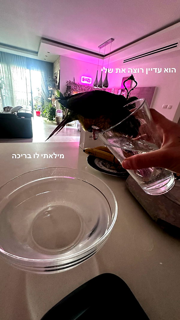 natahalieeee instagram image archive image