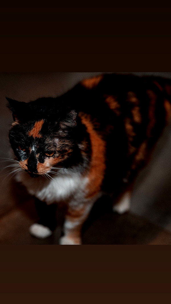 natahalieeee instagram image archive image