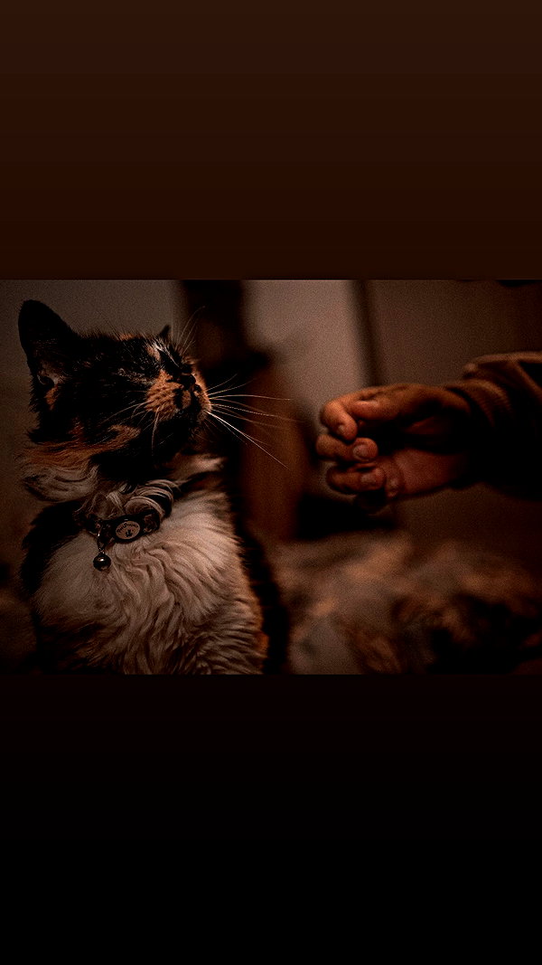 natahalieeee instagram image archive image