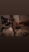 natahalieeee Altpins Profile Picture