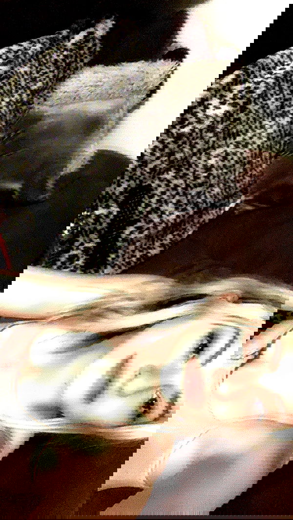 neomiconrad neomiconrad archive image