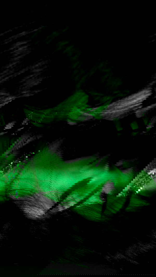 nevaaadaa nevaaadaa archive image