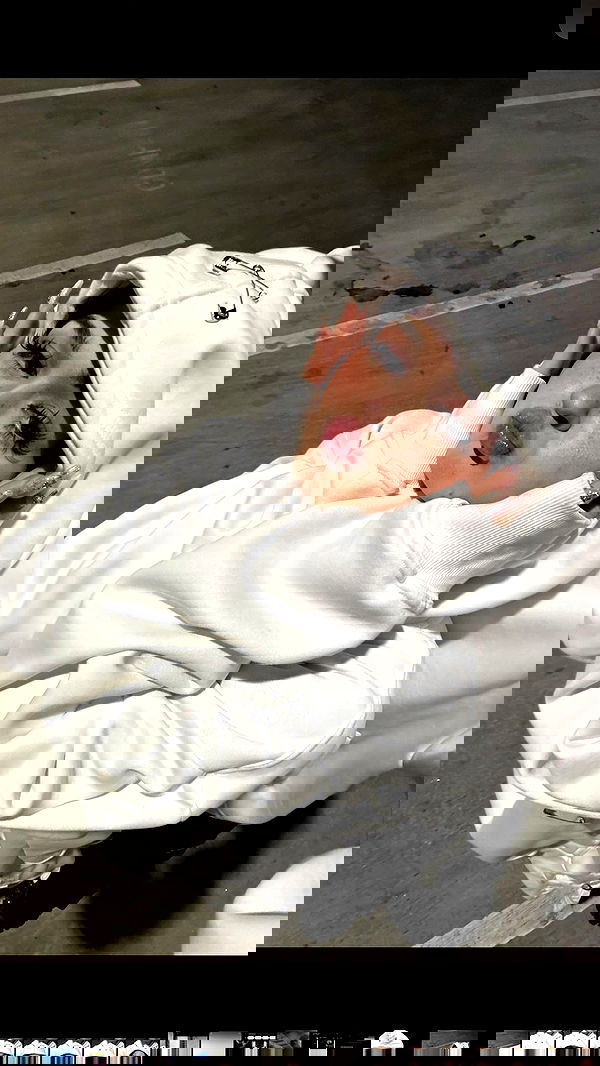 nevaaadaa nevaaadaa archive image