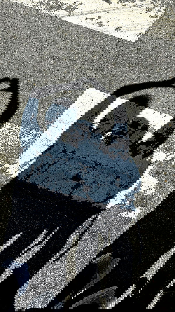 nevaaadaa nevaaadaa archive image