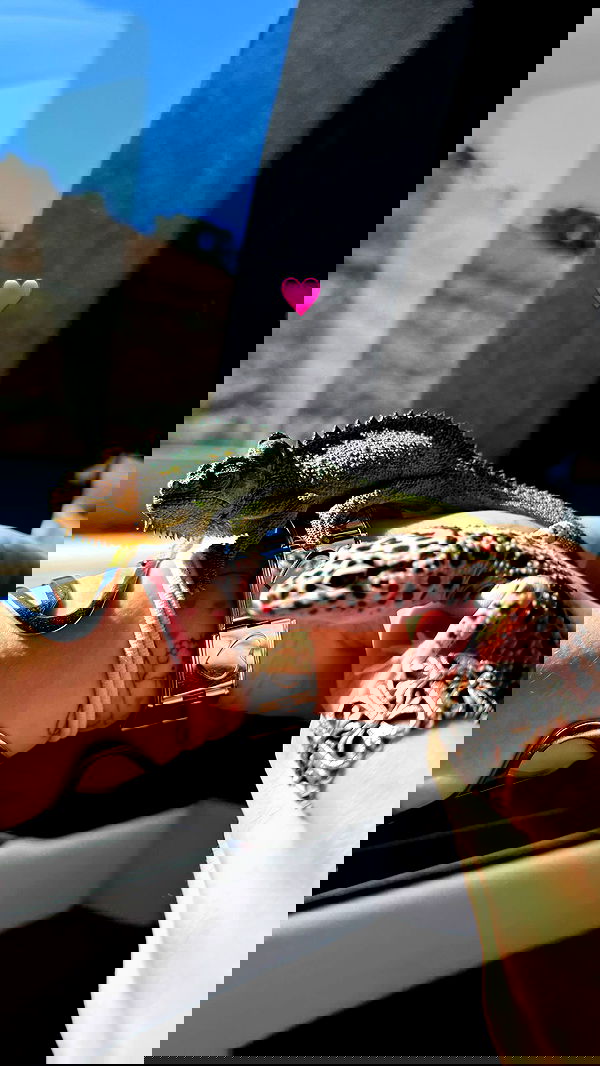 nevaaadaa nevaaadaa archive image