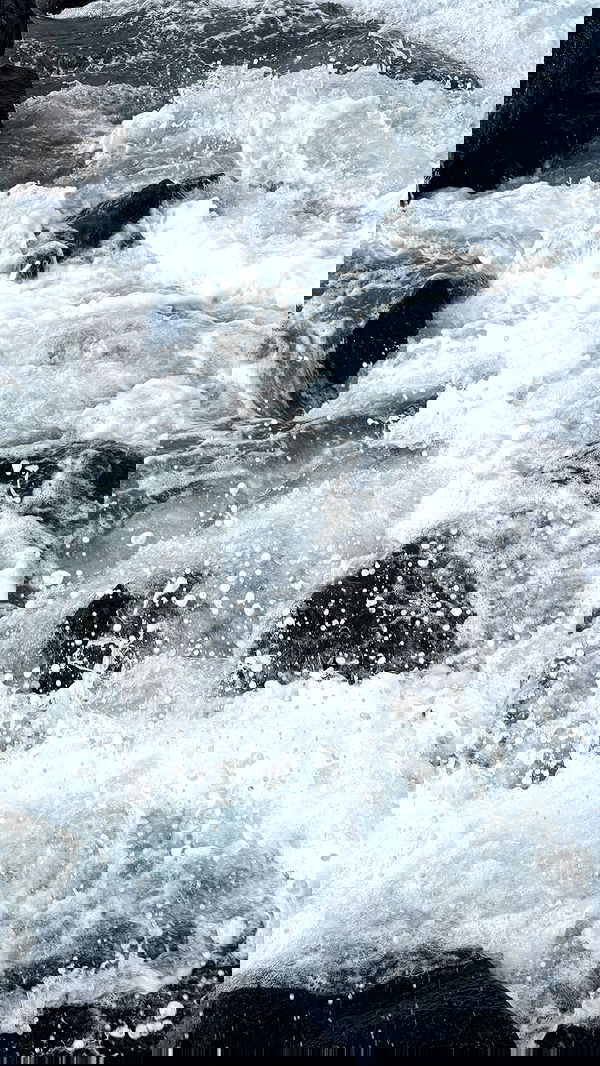 nevaaadaa nevaaadaa archive image