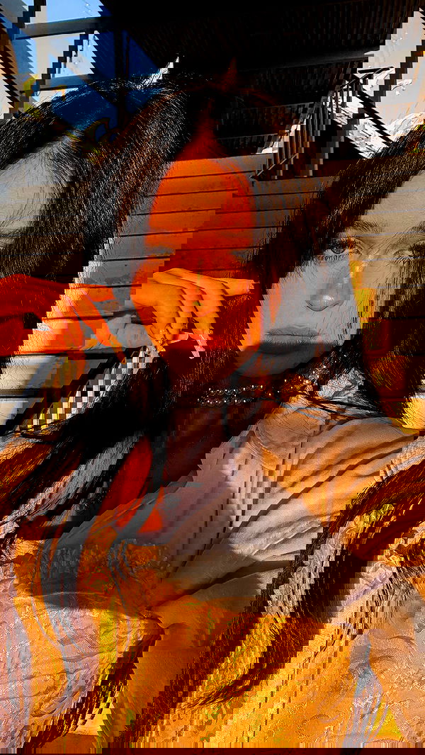 nevaaadaa nevaaadaa archive image