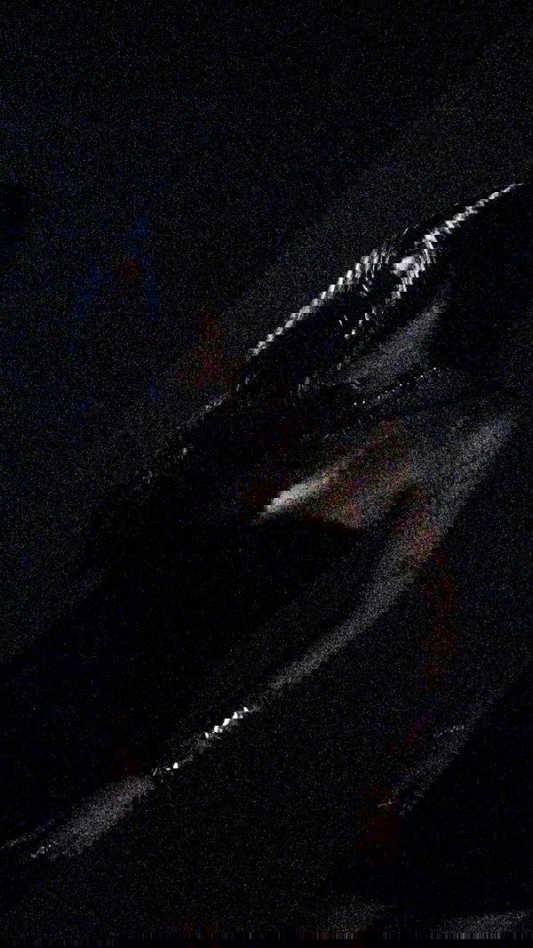 nevaaadaa nevaaadaa archive image