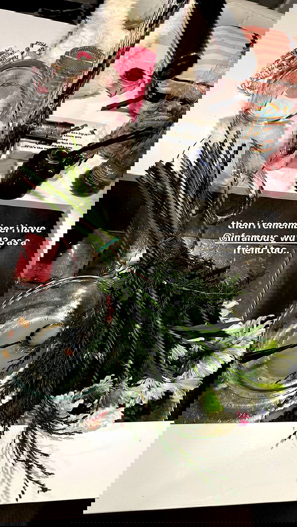 nevaaadaa nevaaadaa archive image