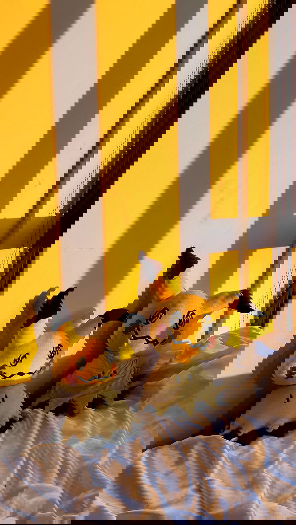 nevaaadaa nevaaadaa archive image