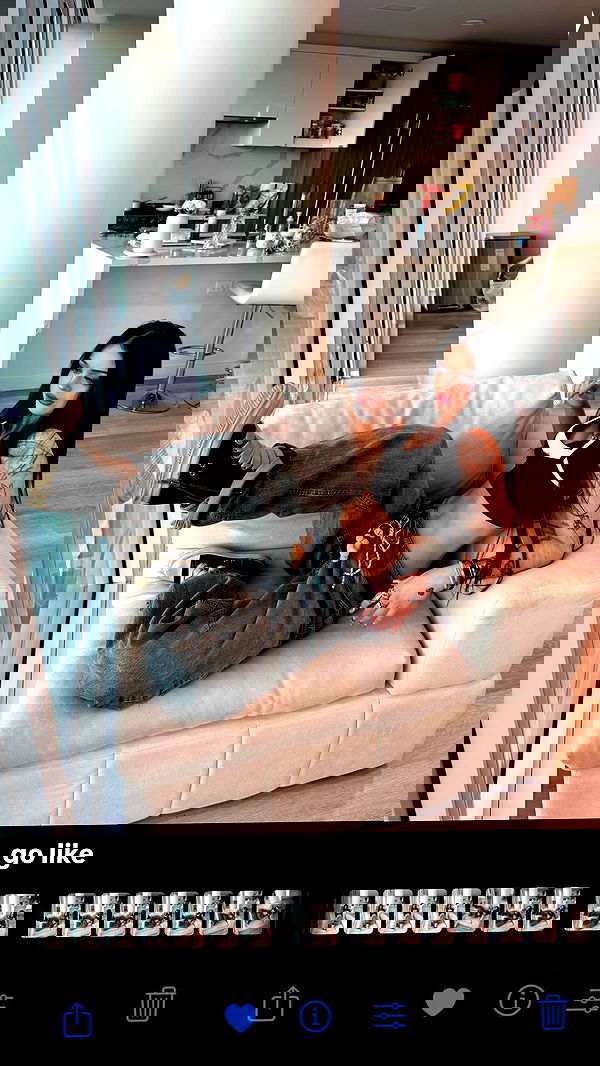 nevaaadaa nevaaadaa archive image