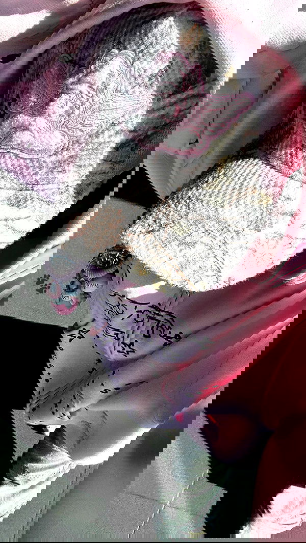 nevaaadaa nevaaadaa archive image