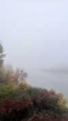 newpoort Altpins Profile Picture