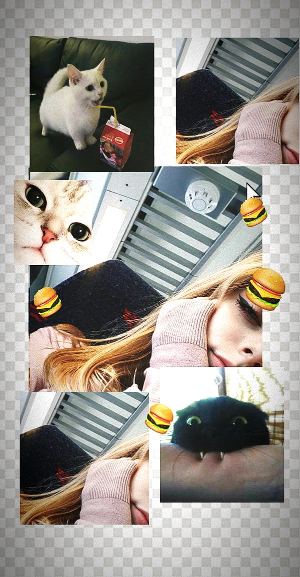 nicakitty nicakitty archive image
