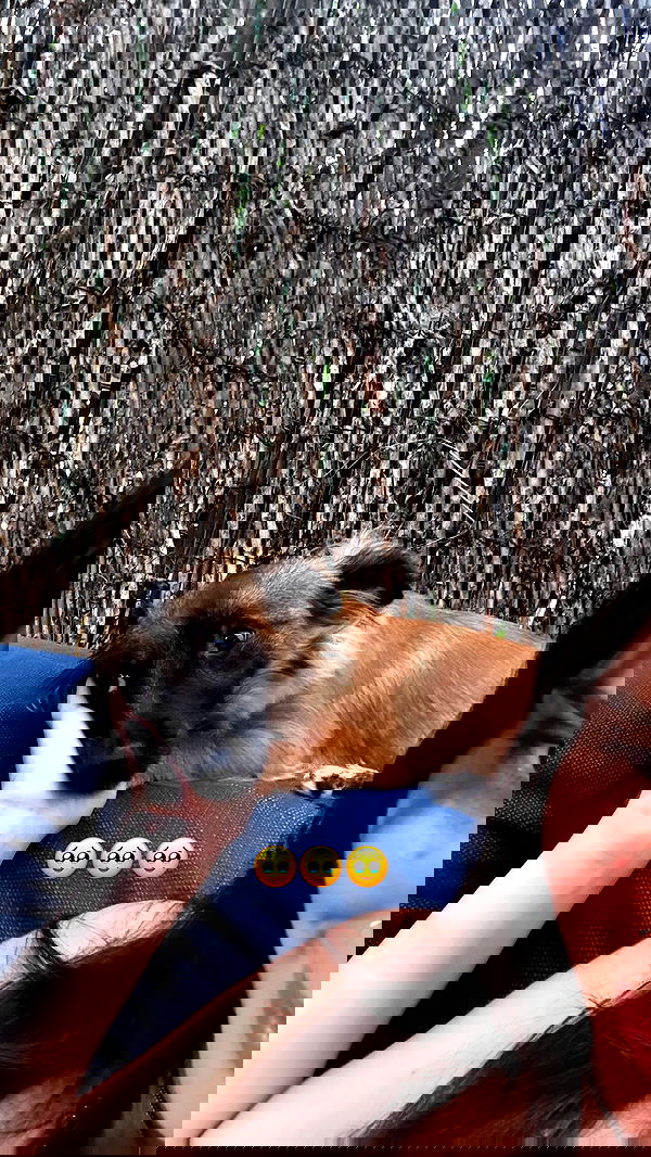 nicole.shpo nicole.shpo archive image