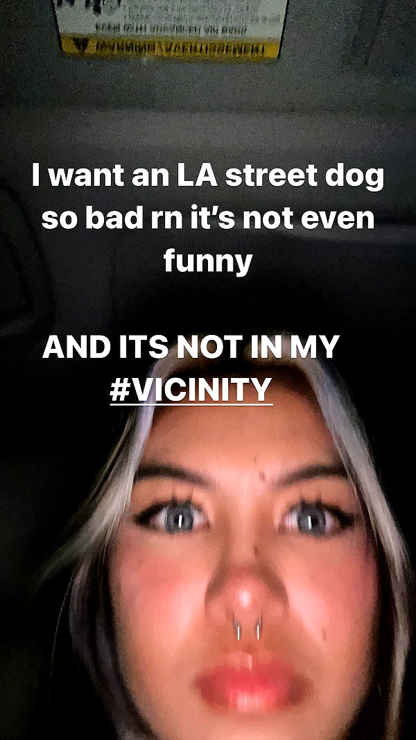 nicoleviado instagram image archive image