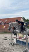 nikaheuer Altpins Profile Picture