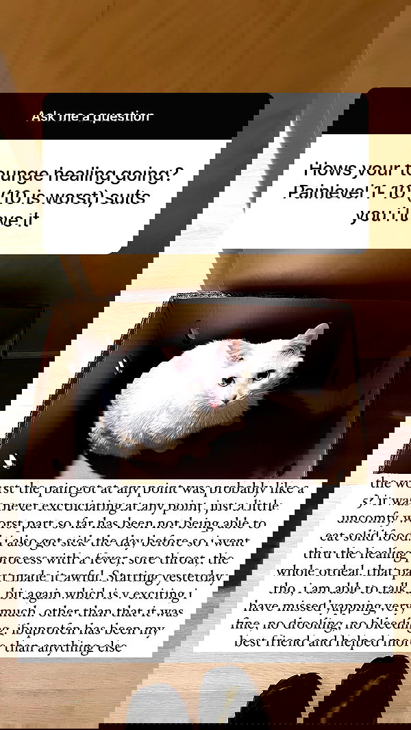 nikkibitez nikkibitez archive image